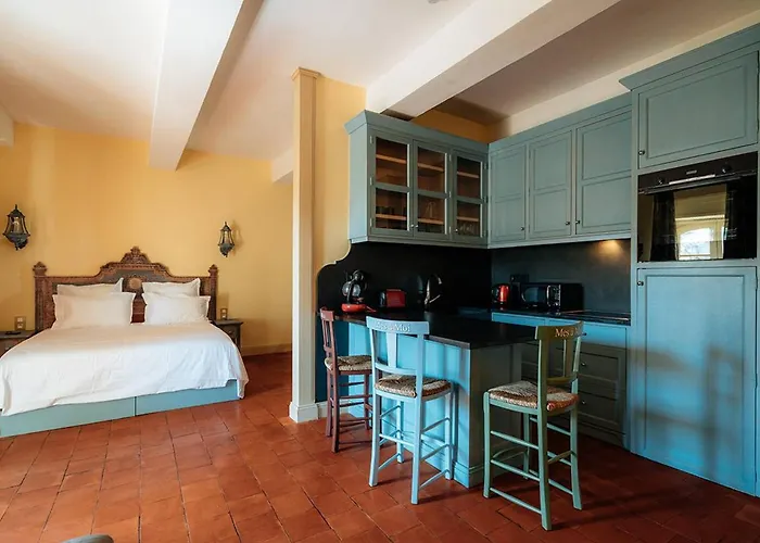 Climatise, Centre Historique De Pezenas, Animaux Admis - Fr-1-607-214 * Pézenas